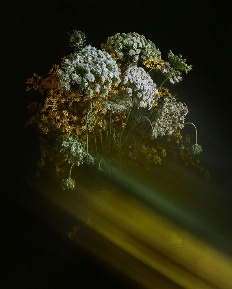 Photograph by Alexandra Sergeeva