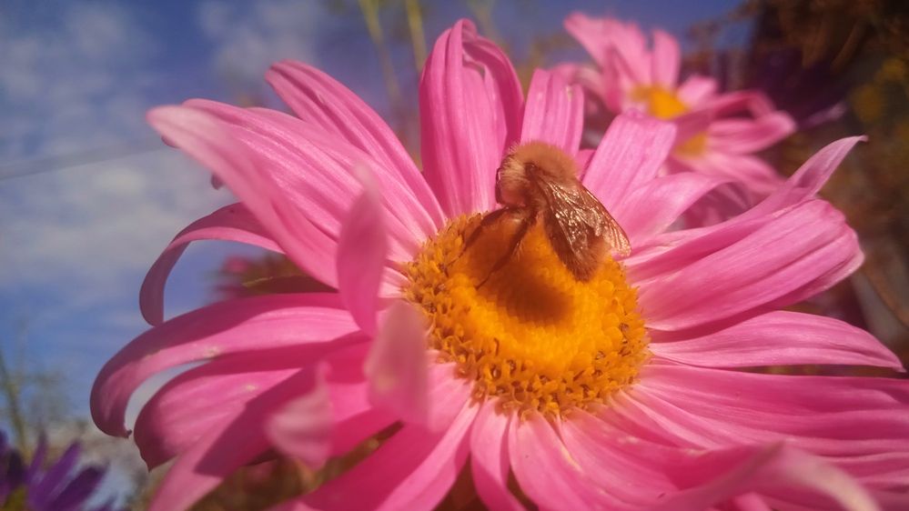 Photograph by Наталья Сорокина