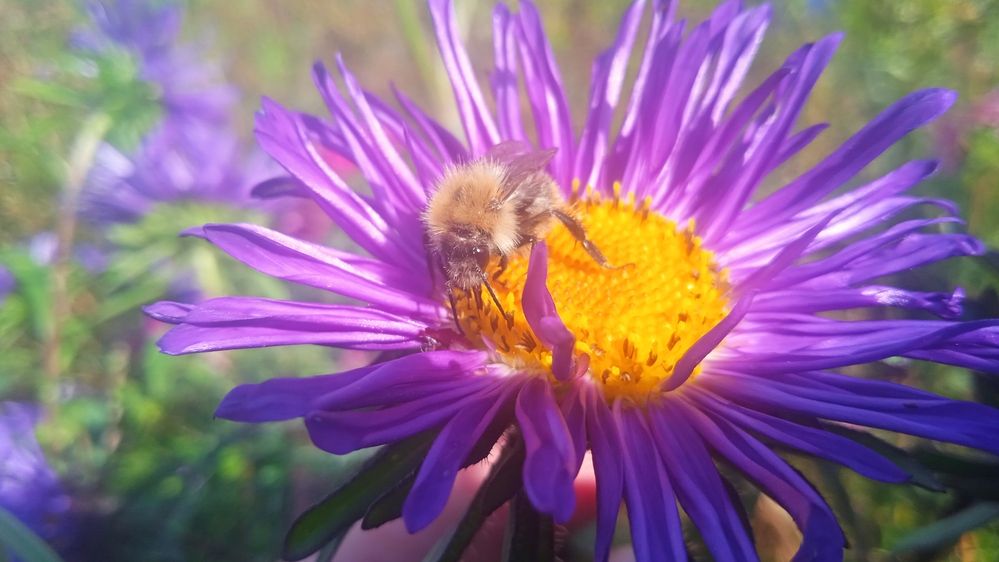 Photograph by Наталья Сорокина