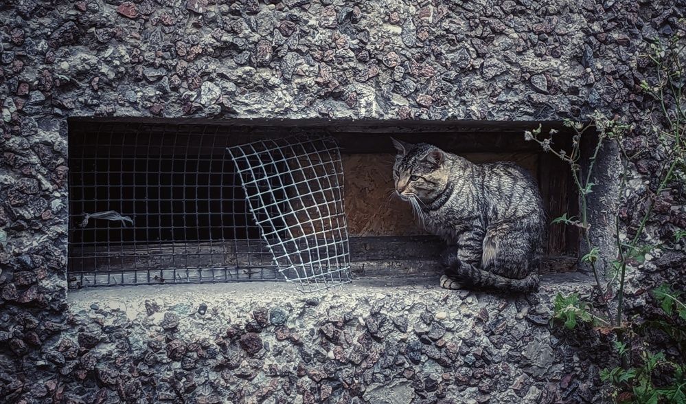 Photograph by Алексей Худяков