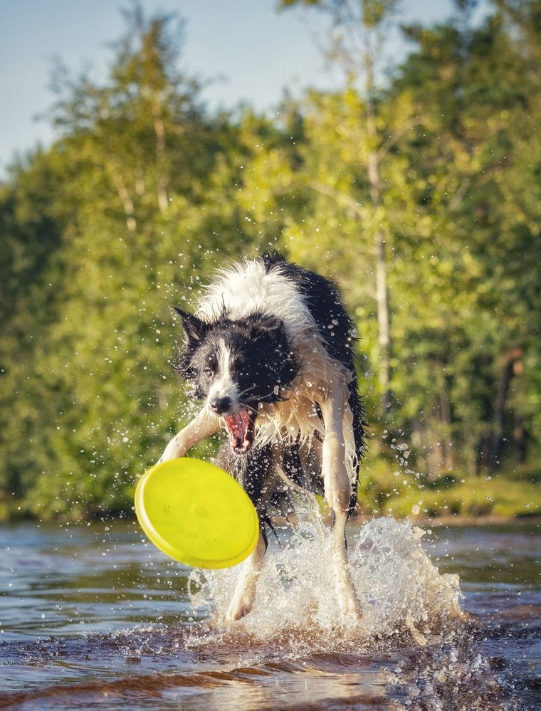 Photograph by Татьяна