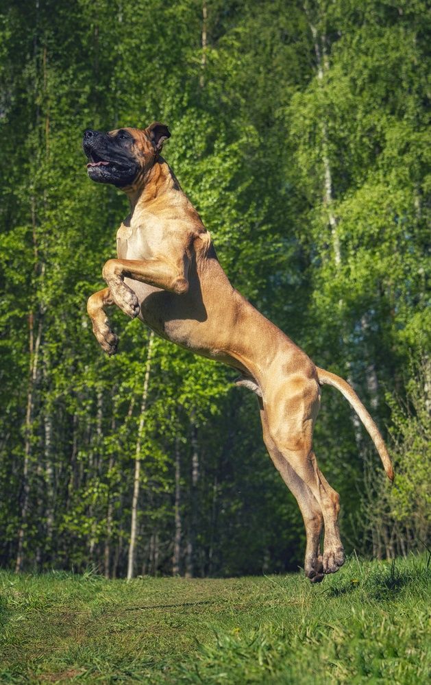 Photograph by Татьяна