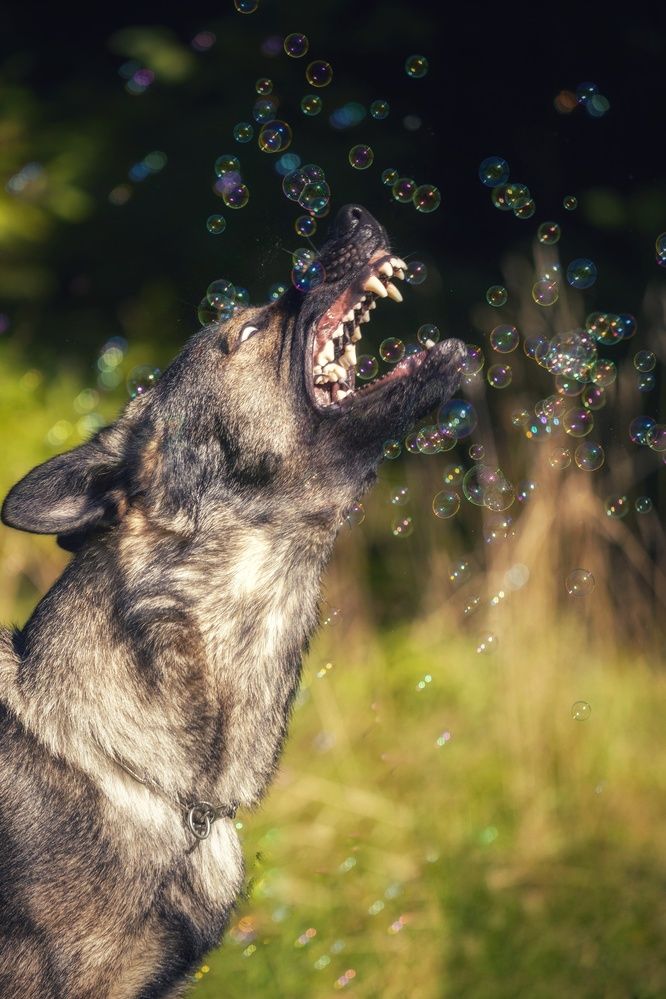 Photograph by Татьяна