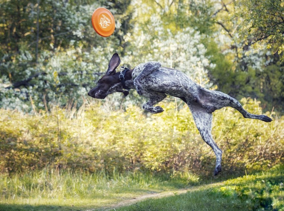 Photograph by Татьяна