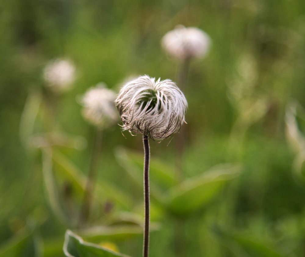 Photograph by Ирина Яук