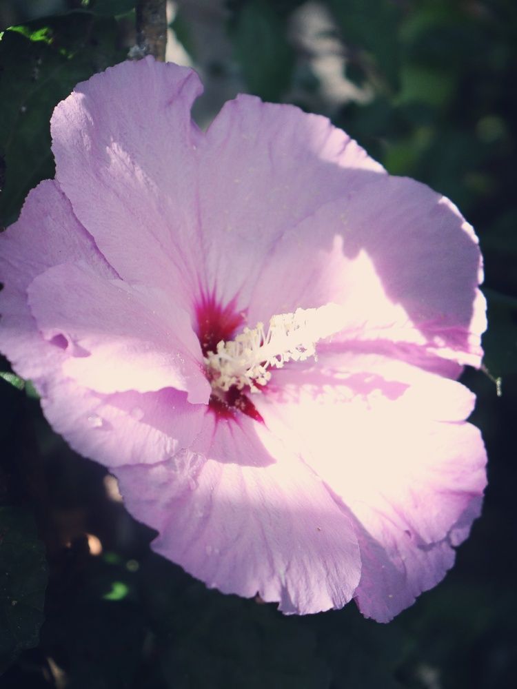 Photograph by Komang Mariono