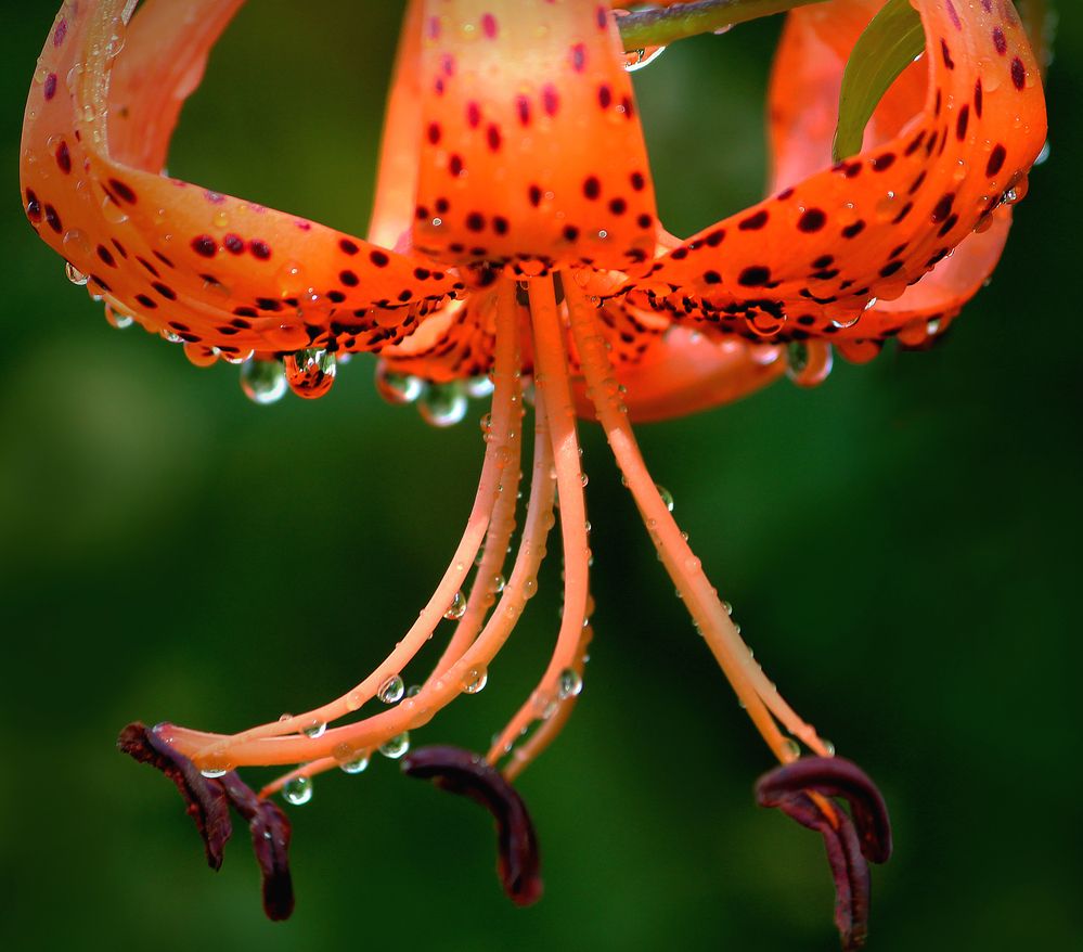 Photograph by Зоя Быкова