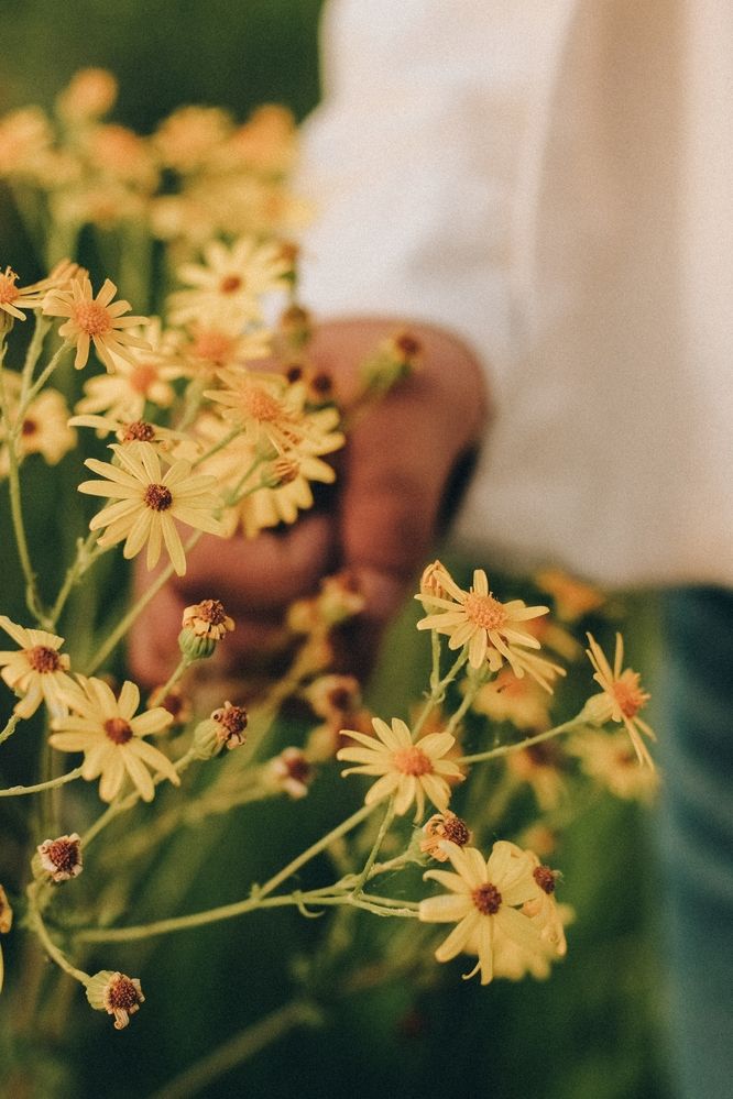 Photograph by Татьяна Цапкова