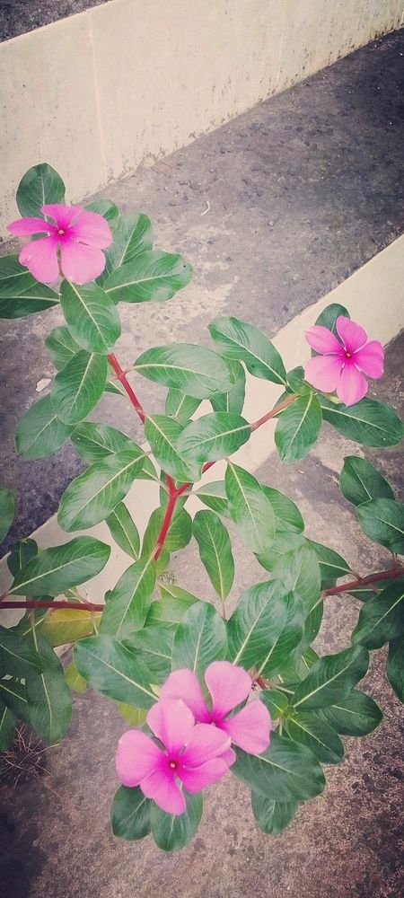 Photograph by Komang Mariono