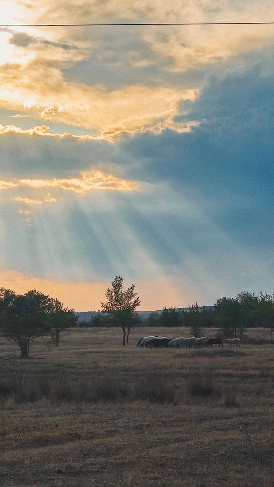 Photograph by Kate Entsi