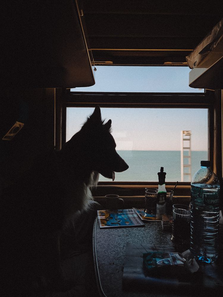 Photograph by Kate Entsi