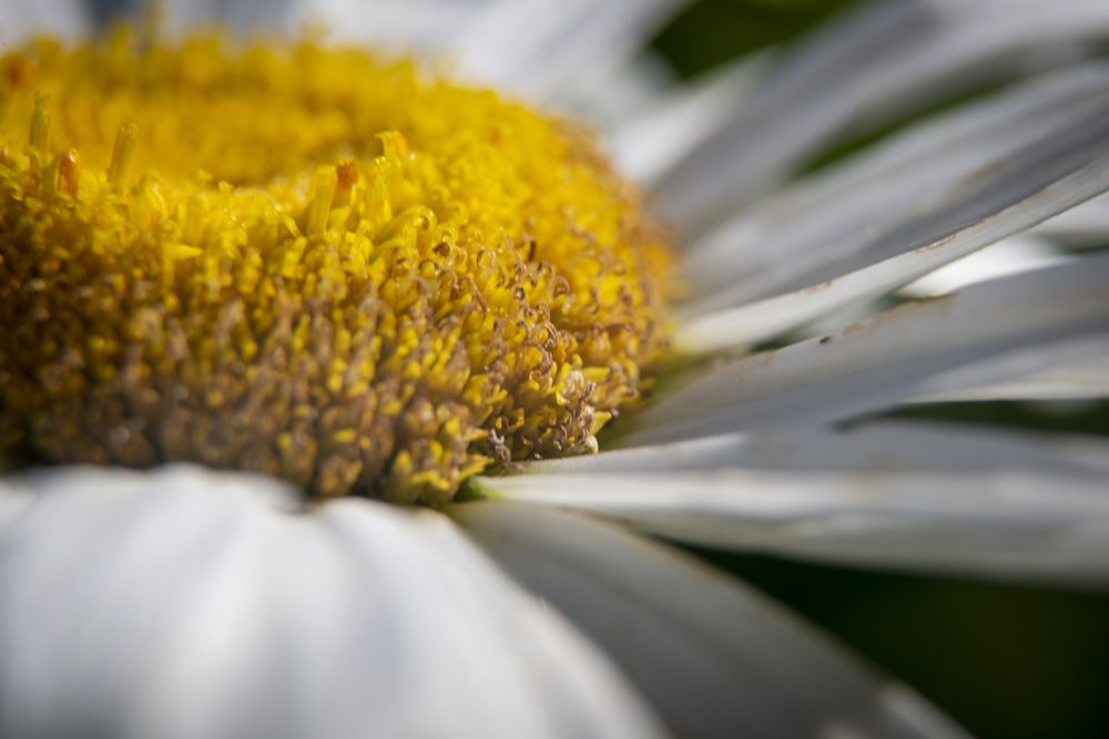 Photograph by Кирилл Владыкин