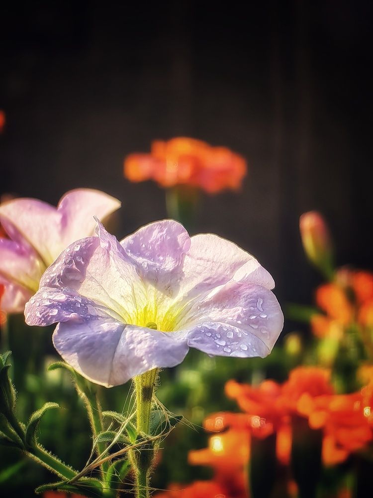 Photograph by Сергей Зайцев