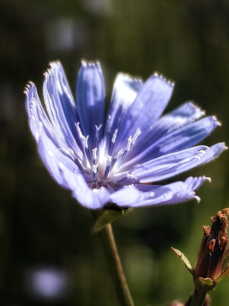 Photograph by Сергей Зайцев