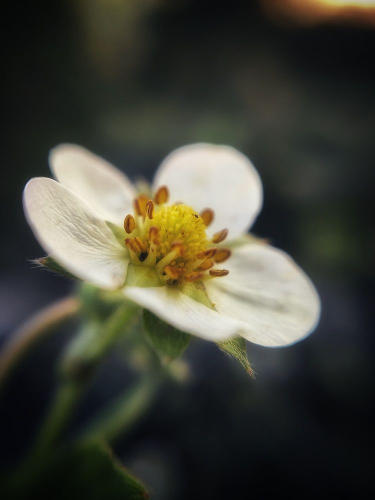 Photograph by Сергей Зайцев