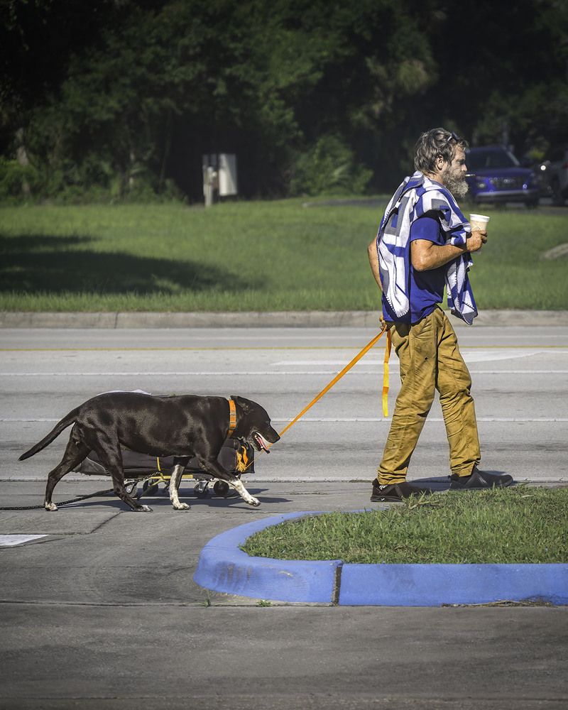Фотография автора Ray Asiala