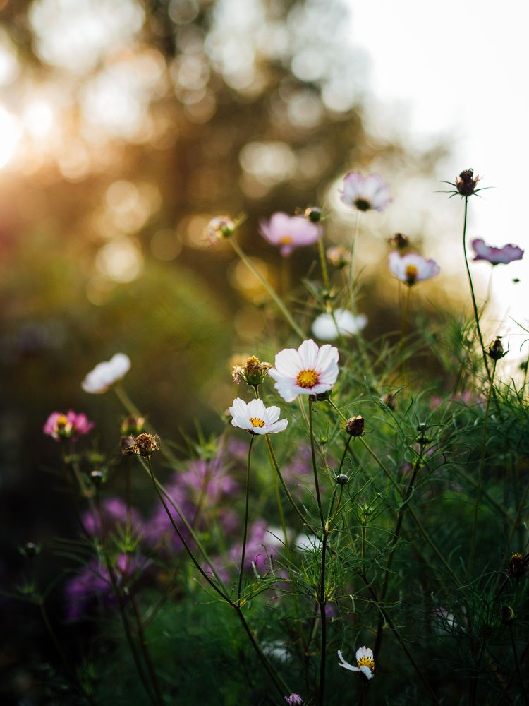 Photograph by Юлия Герман