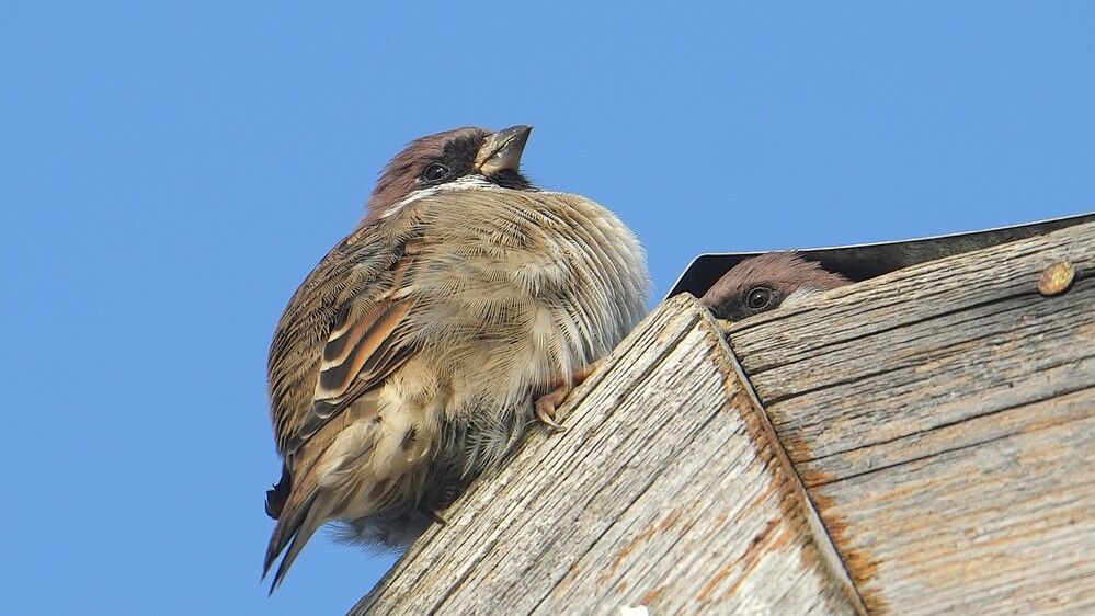 Photograph by Михаил Трусов