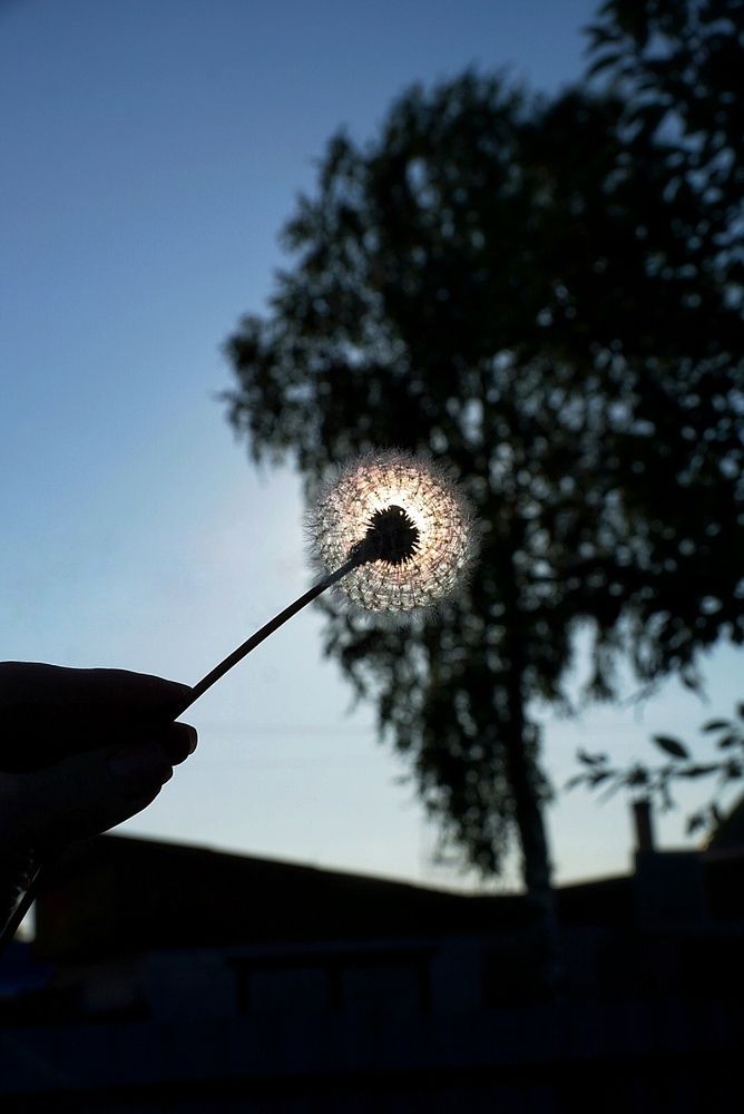 Photograph by Юлия Тимофеева