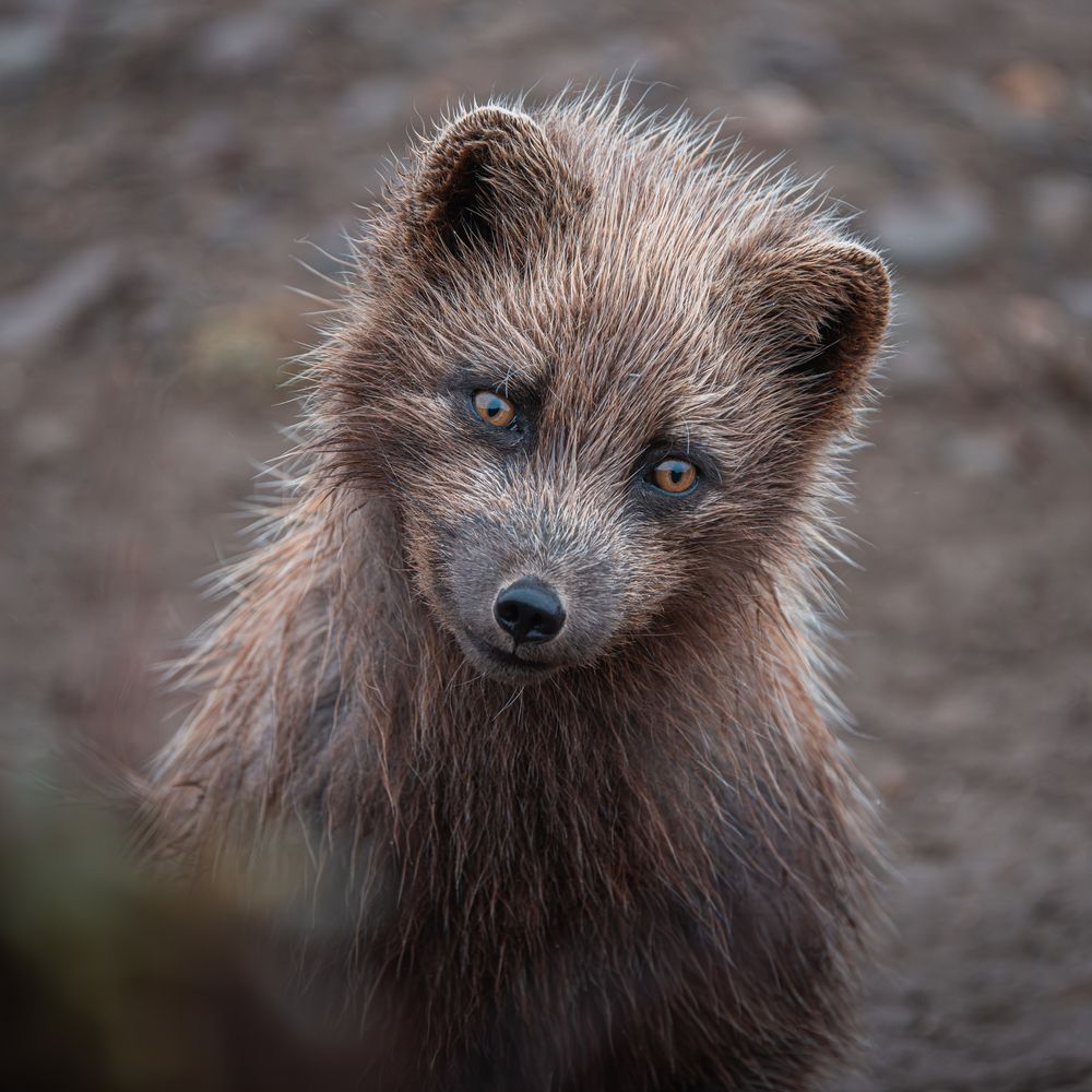 Photograph by Илья Труханов