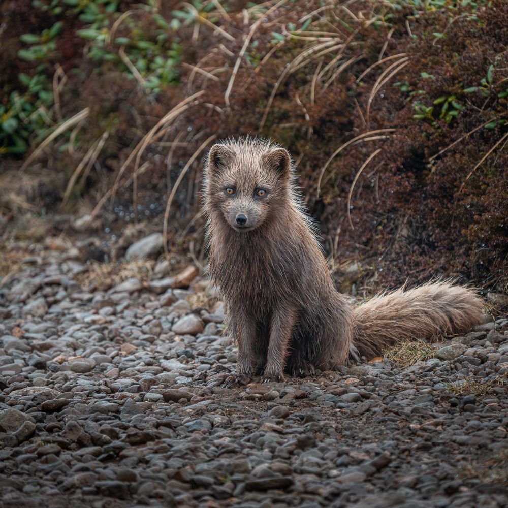 Photograph by Илья Труханов