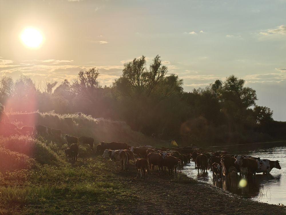 Photograph by Аркадий К