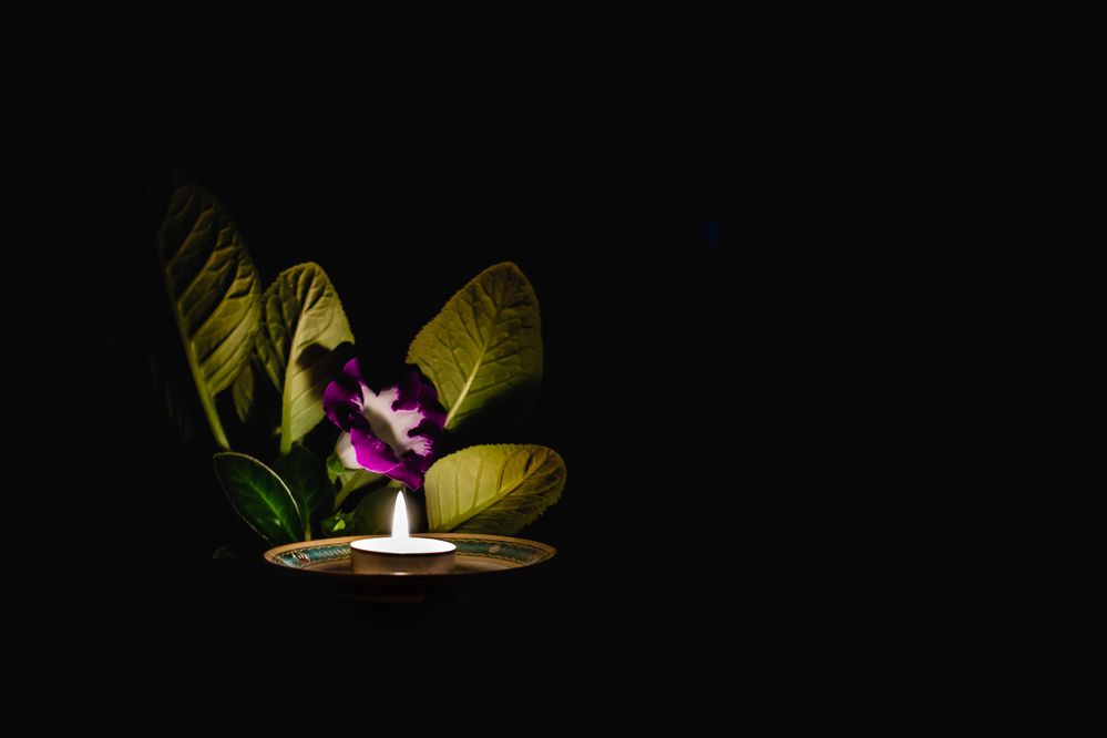 Photograph by Алексей Новоселов