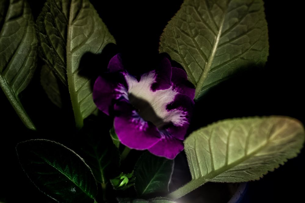 Photograph by Алексей Новоселов