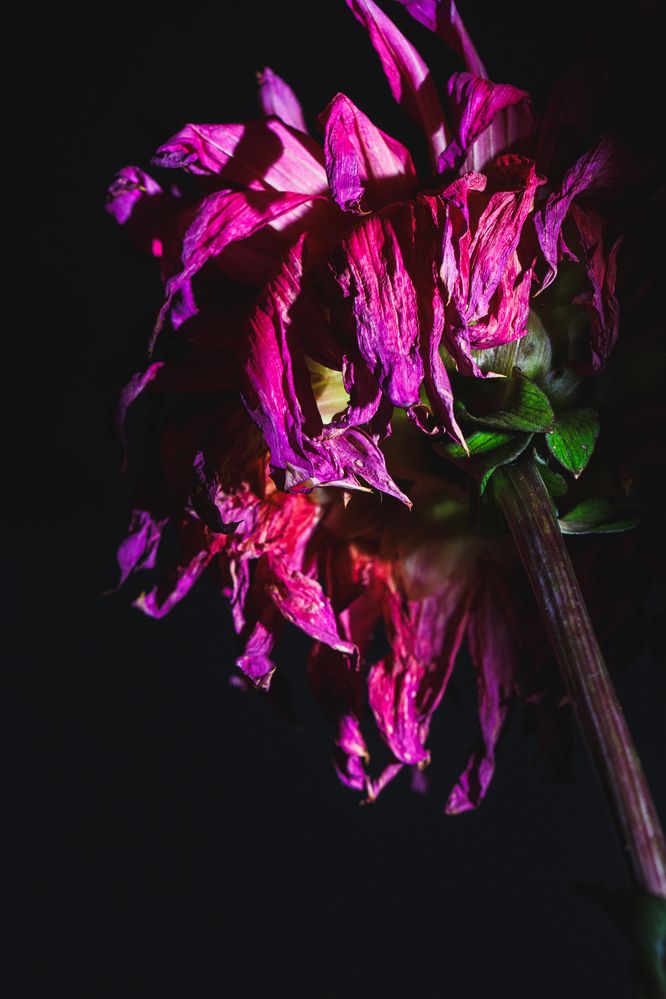 Фотография автора Мария Парамиди