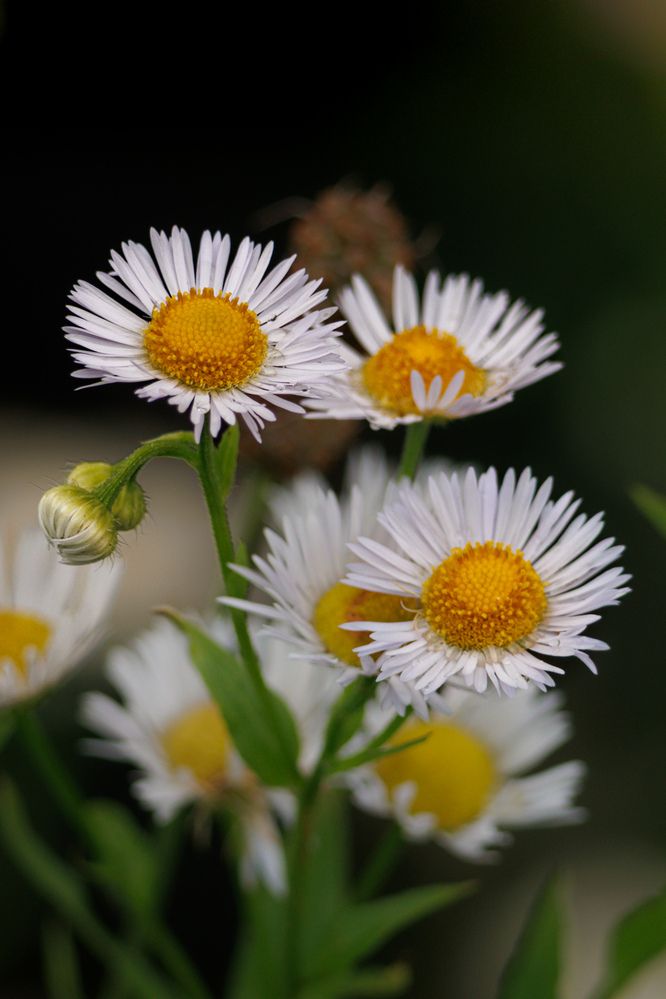 Photograph by Jaime Molina