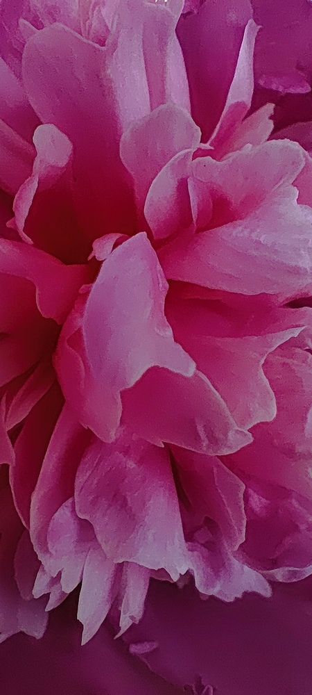 Photograph by Екатерина Сковорода