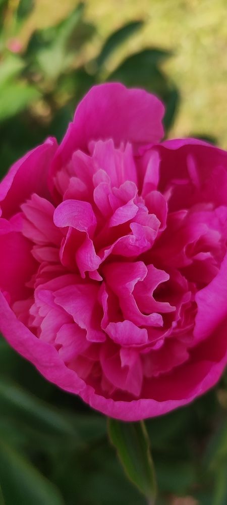 Photograph by Екатерина Сковорода