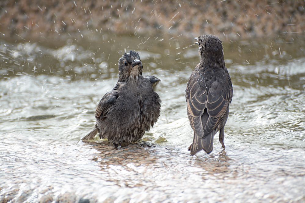 Photograph by Максим Жухлистов