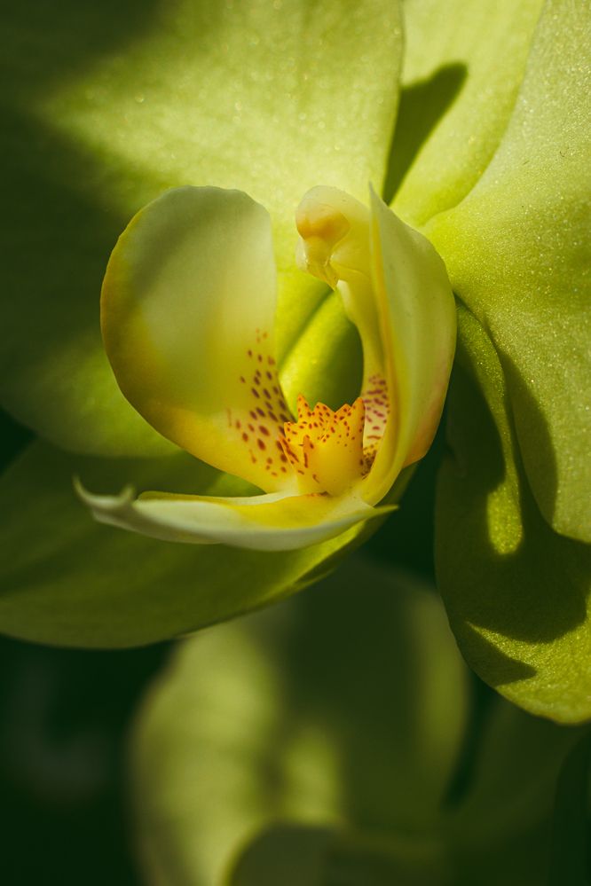 Photograph by Jaime Molina