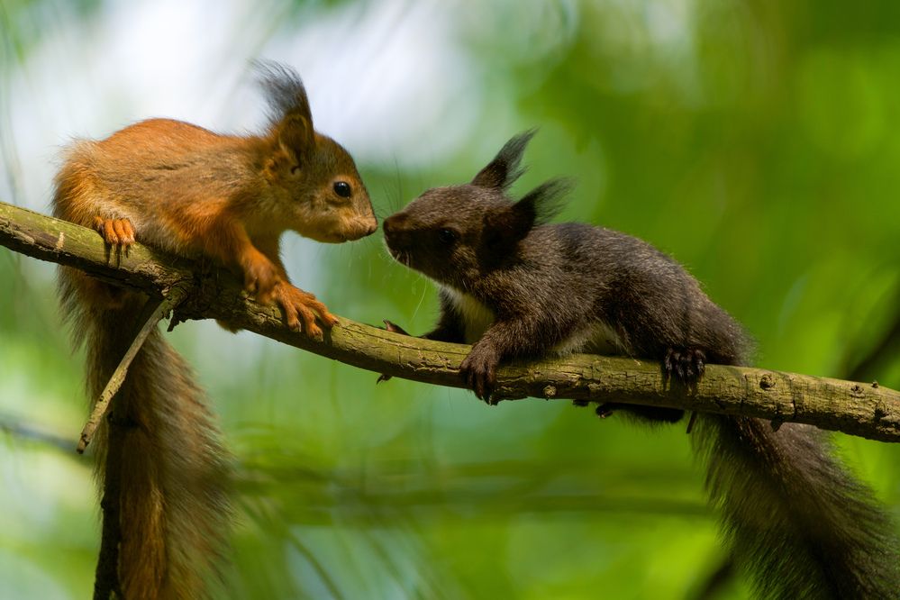Фотография автора Viktoriya Kim