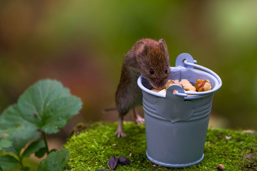 Photograph by Viktoriya Kim