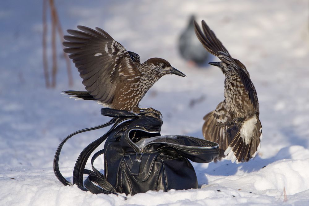 Фотография автора Viktoriya Kim