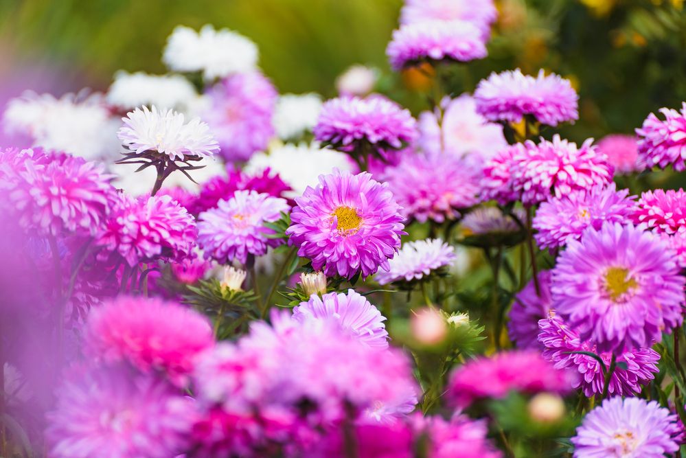 Photograph by Илья Ровинский