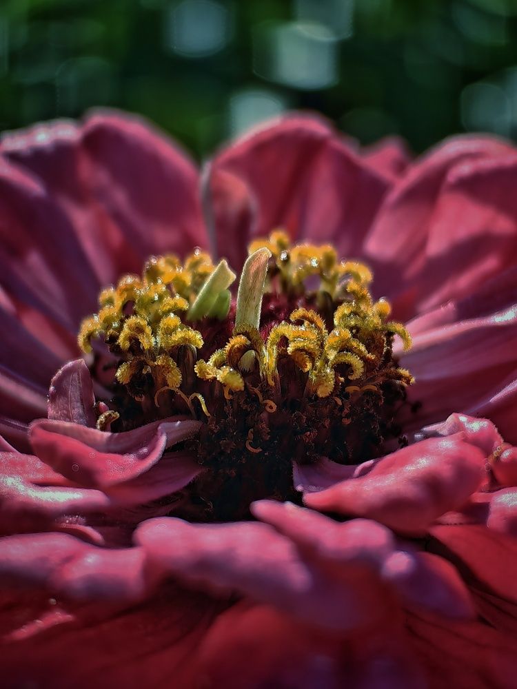 Photograph by Сергей Зайцев