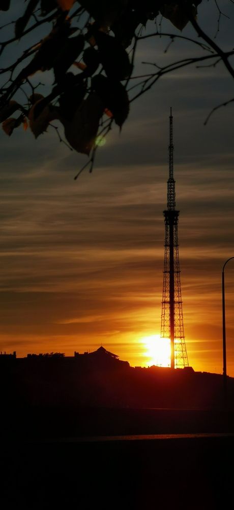 Photograph by Елена Акимова