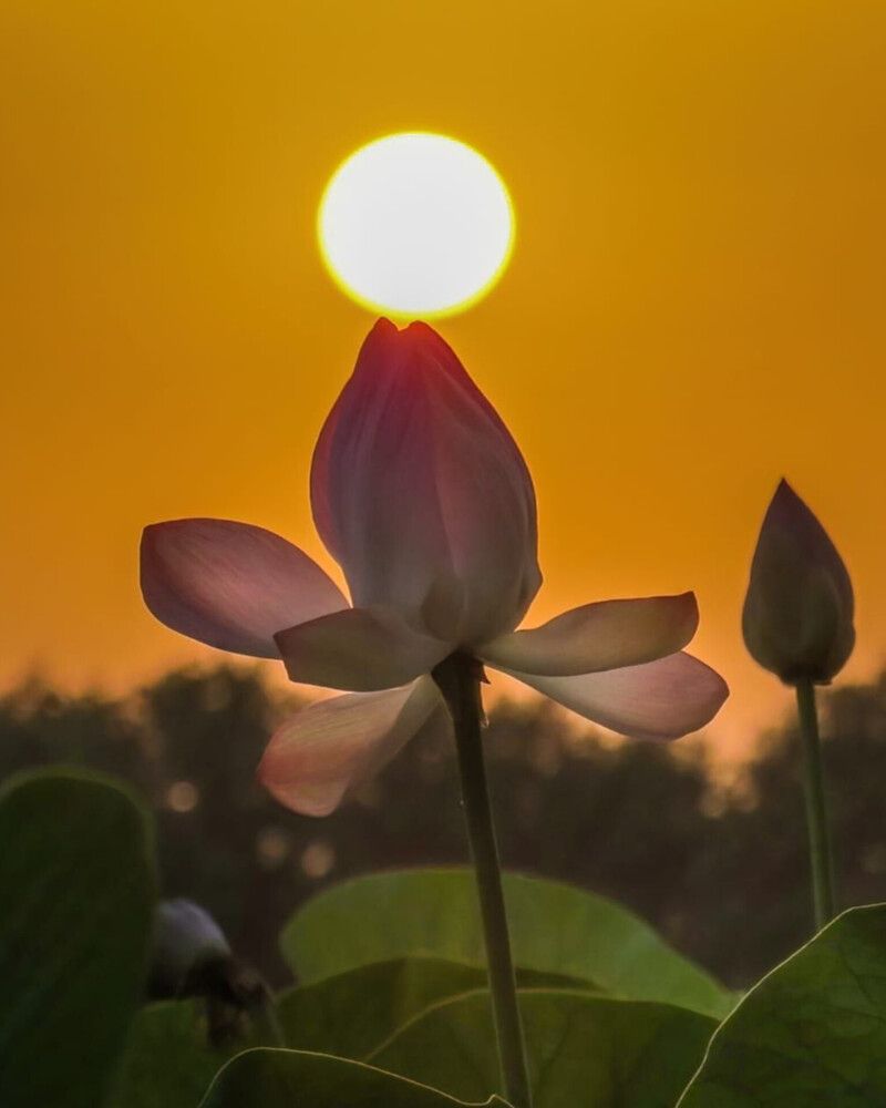 Photograph by Shahrzad Shahrokhi