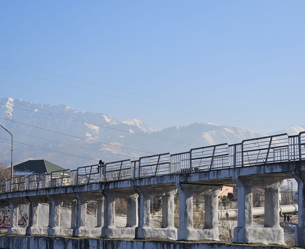 Photograph by Эльвира