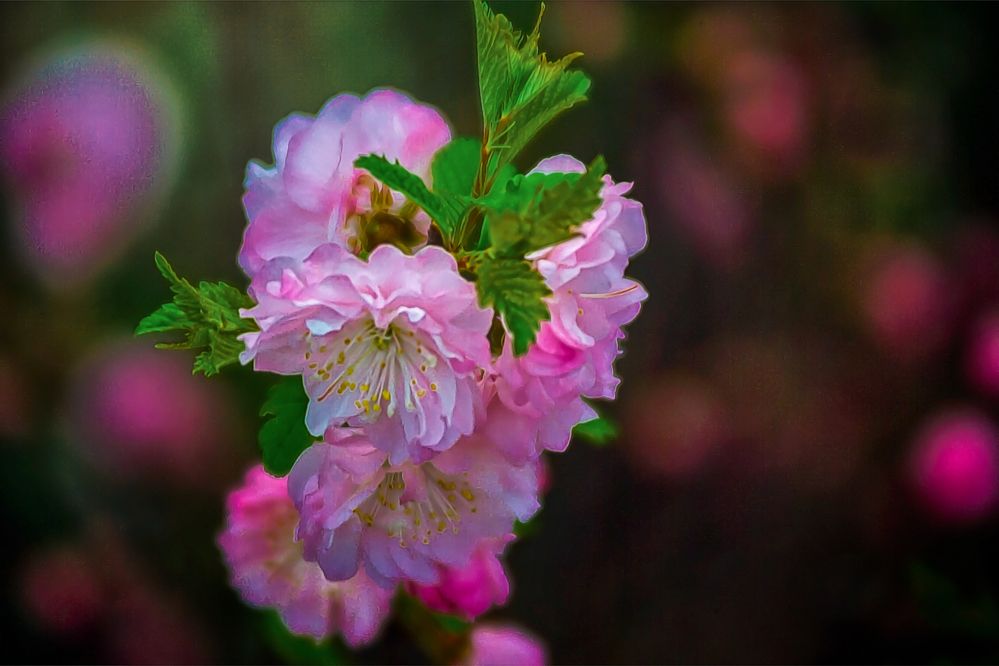 Photograph by Игорь Хижняк