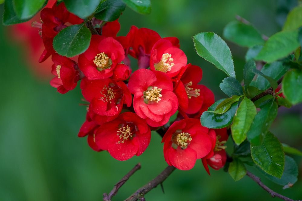 Фотография автора Viktoriya Kim