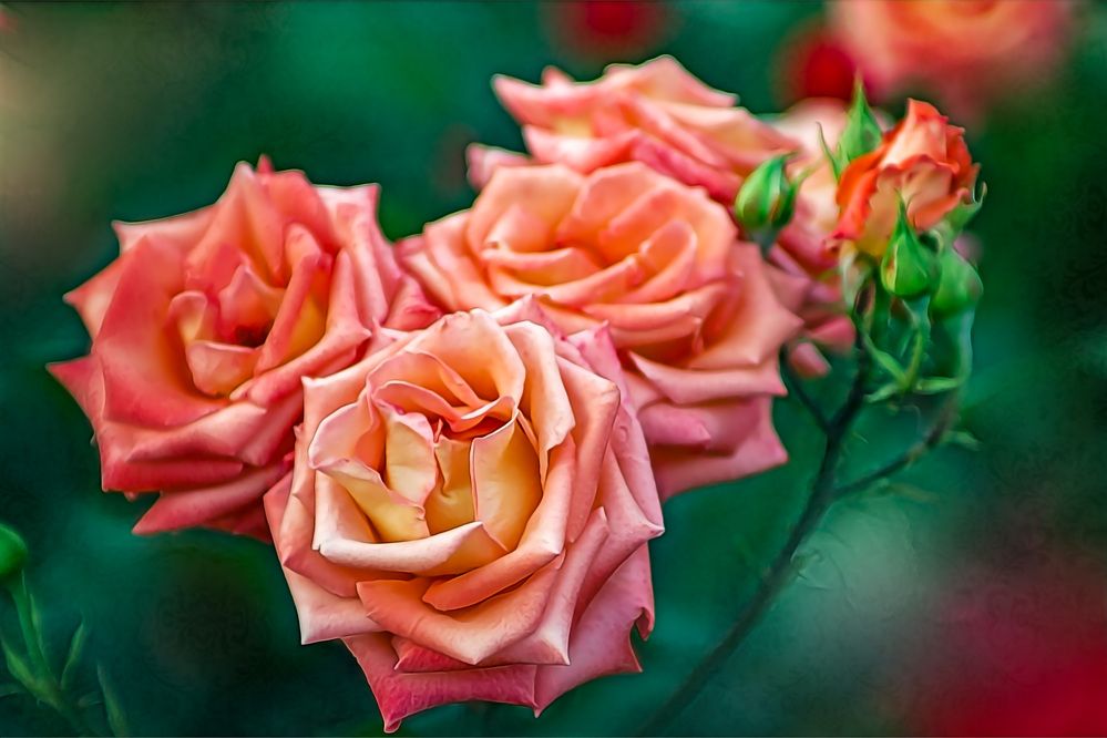 Photograph by Игорь Хижняк