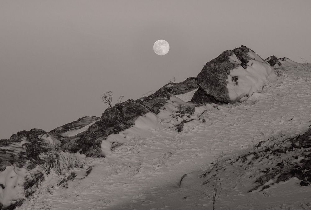 Photograph by Ирина Яук