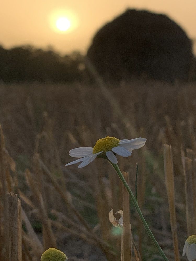 Фотография автора Ирина Шпаковская