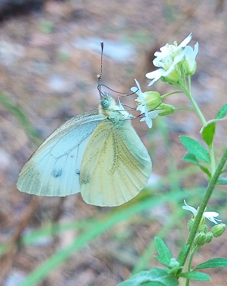 Photograph by Марина Ткаченко