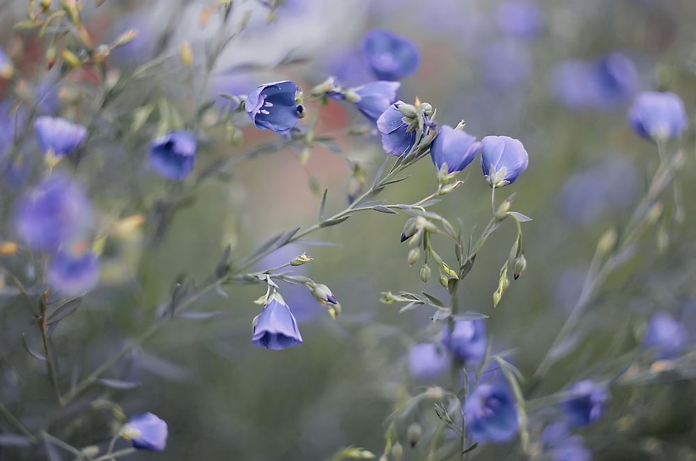 Photograph by Анатолий Святой