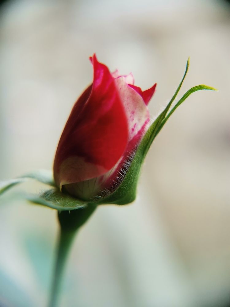 Photograph by Елена Акимова